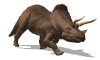 sp (5).gif